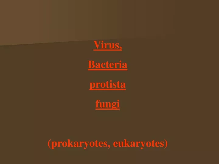 virus bacteria protista fungi prokaryotes