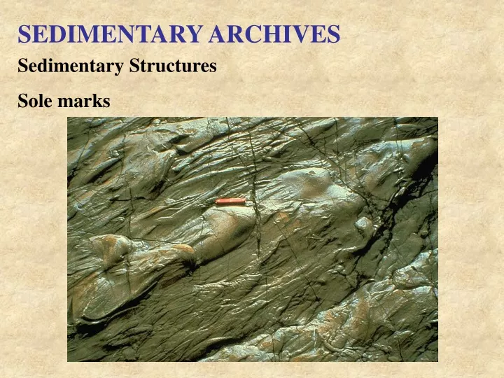 sedimentary archives
