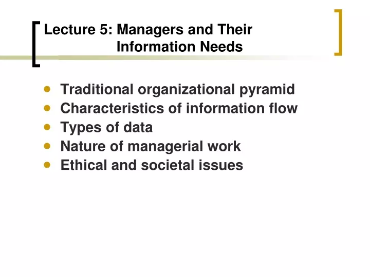 lecture 5 managers and their information needs