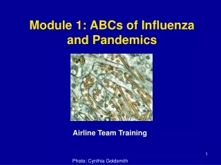 Module 1: ABCs of Influenza and Pandemics
