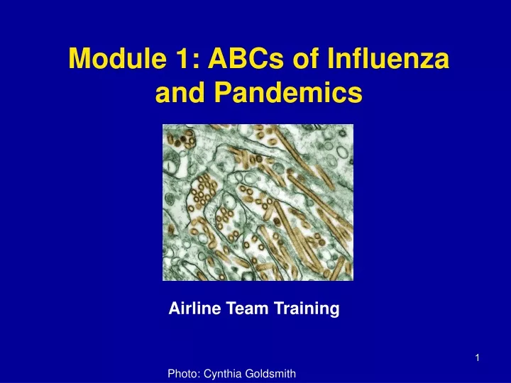 module 1 abcs of influenza and pandemics
