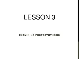 Lesson 3