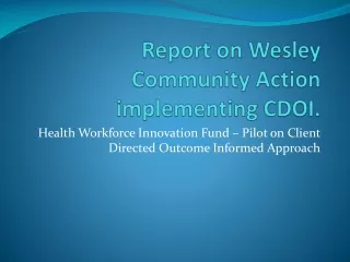 Report on Wesley Community Action implementing CDOI.