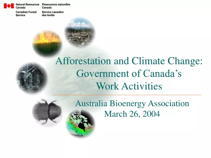 afforestation and climate change government