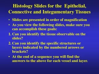 Histology Slides for the  Epithelial, Connective and Integumentary Tissues