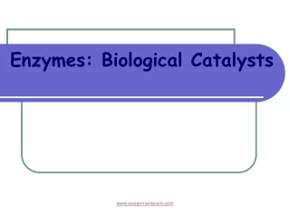 Enzymes: Biological Catalysts