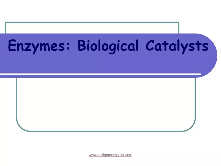 enzymes biological catalysts