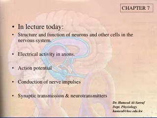 In lecture today: Structure and function of neurons and other cells in the nervous system.