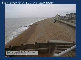 Beach Slope, Grain Size, and Wave Energy
