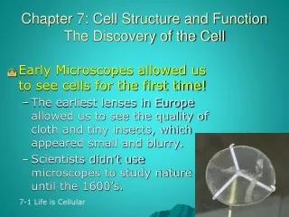 Chapter 7: Cell Structure and Function The Discovery of the Cell