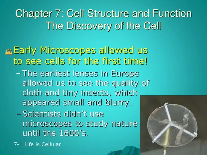 chapter 7 cell structure and function the discovery of the cell