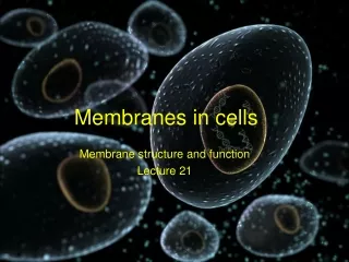 Membranes in cells