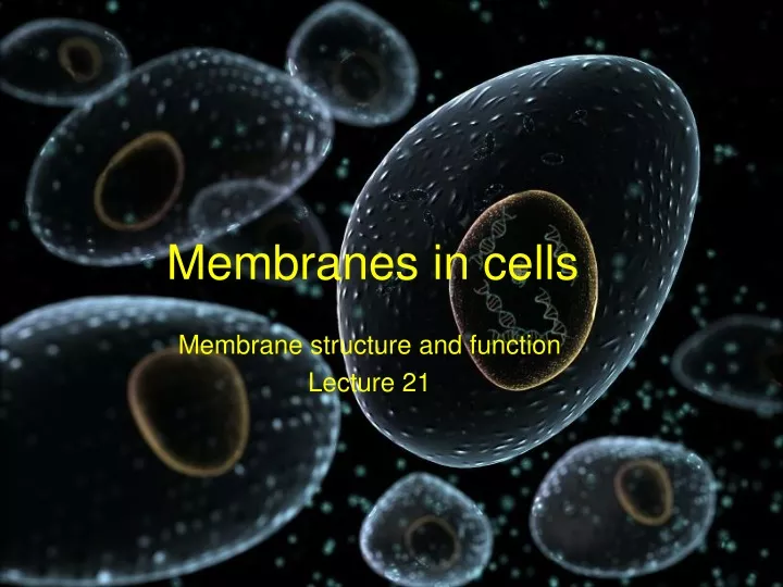 membranes in cells