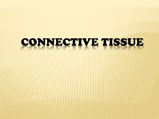 Connective Tissue