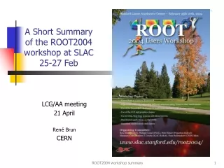 A Short Summary of the ROOT2004 workshop at SLAC 25-27 Feb