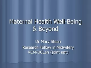Maternal Health Well-Being &amp; Beyond