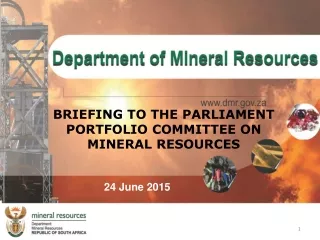 BRIEFING TO THE PARLIAMENT PORTFOLIO COMMITTEE ON MINERAL RESOURCES