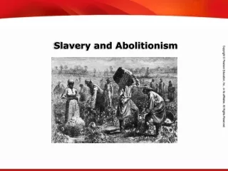Slavery and Abolitionism