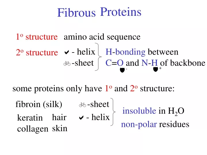 proteins