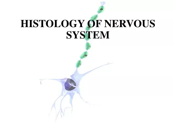 histology of nervous system