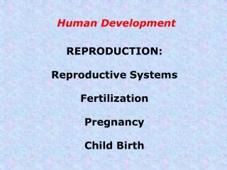 Human Development