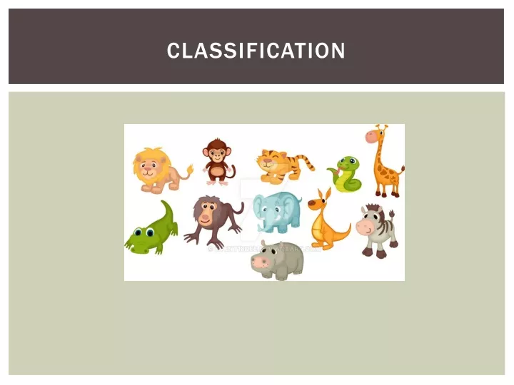 classification