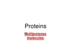 Proteins - slide 1