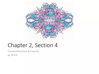 Chapter 2, Section 4