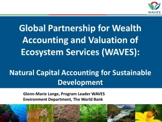 Glenn-Marie Lange, Program Leader WAVES Environment Department, The World Bank