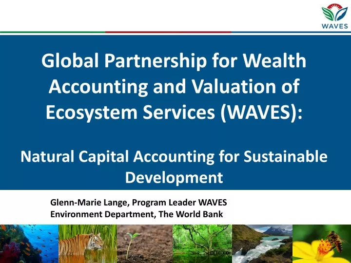 global partnership for wealth accounting