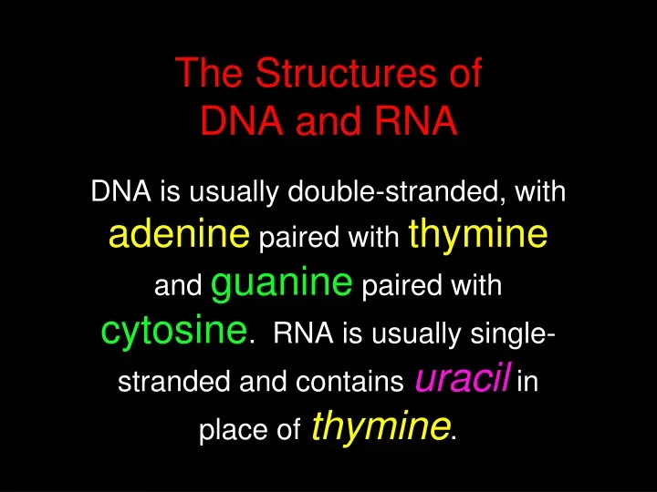 the structures of dna and rna