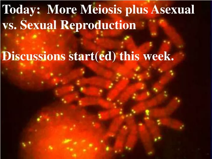 today more meiosis plus asexual vs sexual