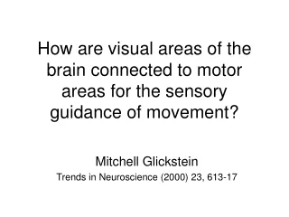How are visual areas of the brain connected to motor areas for the sensory guidance of movement?
