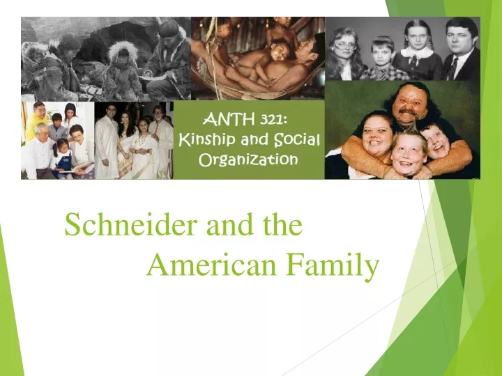 schneider and the american family