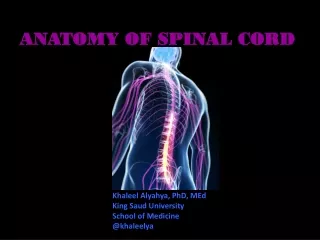 ANATOMY OF SPINAL CORD