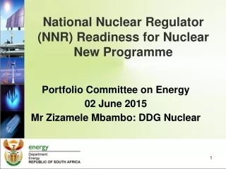 National Nuclear Regulator (NNR) Readiness for Nuclear New Programme