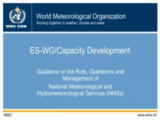 ES-WG/Capacity Development