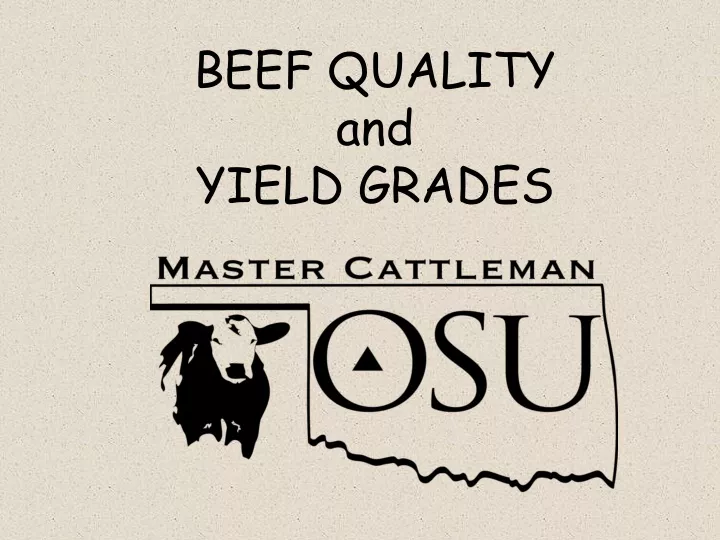 beef quality and yield grades