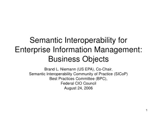Semantic Interoperability for Enterprise Information Management: Business Objects