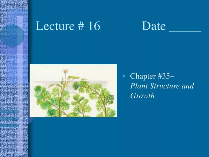 lecture 16 date