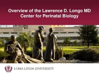 Overview of the Lawrence D. Longo MD Center for Perinatal Biology