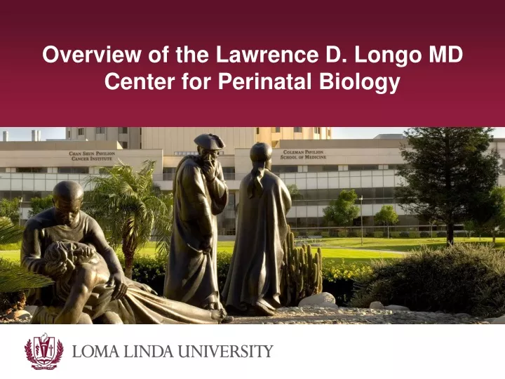 overview of the lawrence d longo md center for perinatal biology