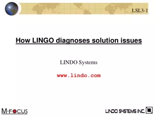 How LINGO diagnoses solution issues LINDO Systems lindo