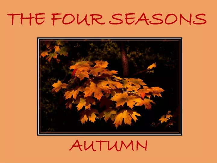 the four seasons