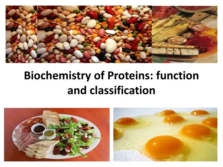 biochemistry of proteins function and classification