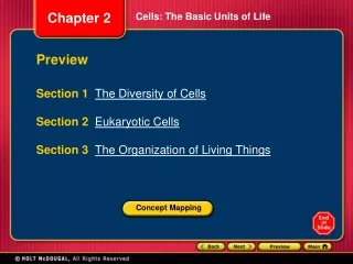 Cells: The Basic Units of Life