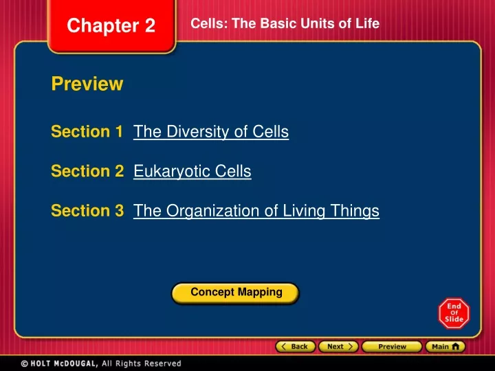 cells the basic units of life