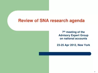 Review of SNA research agenda