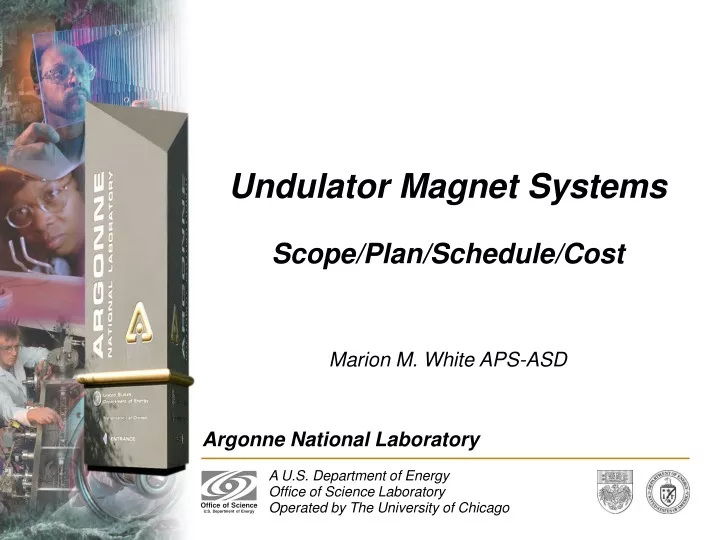 undulator magnet systems