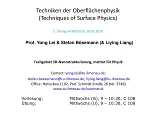 Fachgebiet 3D-Nanostrukturierung ,  Institut für Physik Contact:  yong.lei@tu-ilmenau.de;